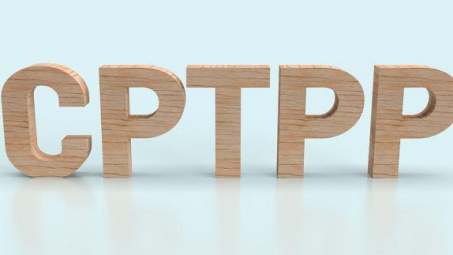 Ứng phó rủi ro phòng vệ thương mại tại các nước CPTPP