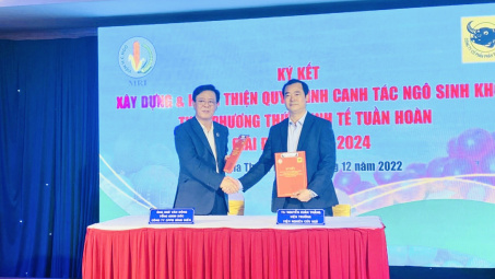 Bình Điền bắt tay hợp tác xây dựng, hoàn thiện quy trình canh tác ngô sinh khối