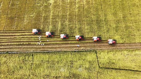 Nhiều tín hiệu tích cực cho xuất khẩu gạo năm 2023