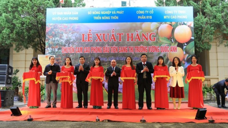 Cam Cao Phong lần đầu tiên xuất khẩu sang Anh