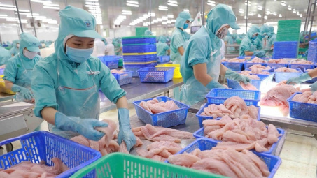 Xuất khẩu cá tra Việt Nam sang khối CPTPP dự kiến lần đầu tăng trưởng dương trong năm nay