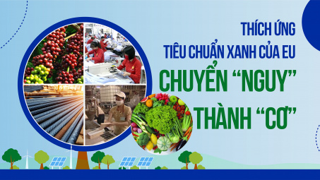 Thích ứng tiêu chuẩn Xanh của EU: Chuyển “Nguy” thành “Cơ”
