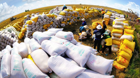 Indonesia chọn Việt Nam và Thái Lan để nhập khẩu thêm 1,5 triệu tấn gạo