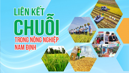 Liên kết chuỗi trong nông nghiệp Nam Định