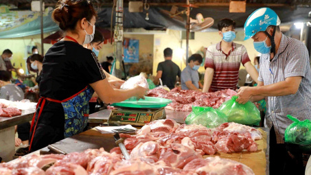 Giá heo hơi hôm nay 12/10: Đã có nơi xuống dưới mức 50.000 đồng/kg, nông dân thua lỗ