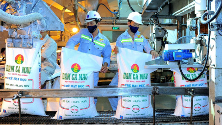 Đạm Cà Mau (DCM): Doanh thu quý 3 ước đạt 9.500 tỷ, lãi ròng năm 2024 có thể tăng 61%