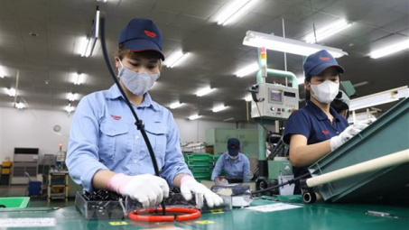 Giữ vững chuỗi cung ứng nội, đảm bảo tính tự chủ của nền kinh tế