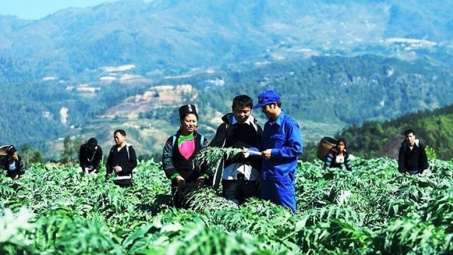 Gắn sản xuất với thương hiệu cho sản phẩm vùng đồng bào dân tộc thiểu số và miền núi