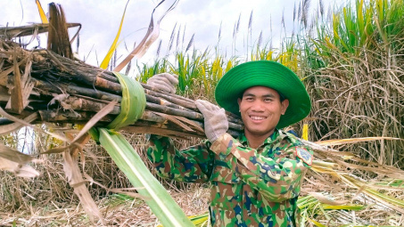 Giá bán đường trung bình cả năm nay của Đường Quảng Ngãi (QNS) ước tăng 40%