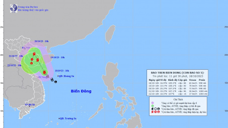 Tin nhanh khẩn cấp về bão số 5
