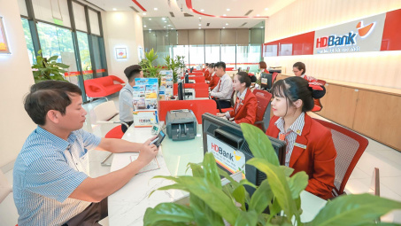 Hãng chứng khoán mà Ngân hàng HDBank (HDB) muốn tham gia góp vốn đang kinh doanh như nào?