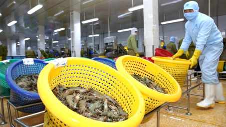 Thực phẩm Sao Ta (FMC): Lãi ròng quý 3/2023 tăng 11%, nhu cầu tôm phục hồi rõ rệt