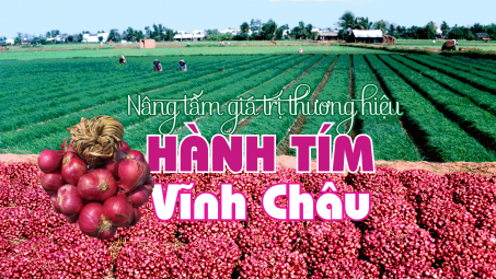 Nâng tầm giá trị thương hiệu hành tím Vĩnh Châu