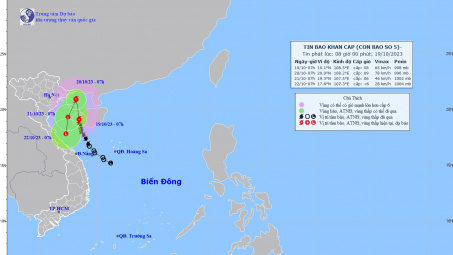 Cập nhật nhanh thông tin mới nhất về bão số 5
