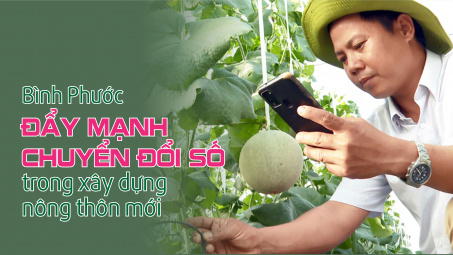 Bình Phước đẩy mạnh chuyển đổi số trong xây dựng nông thôn mới