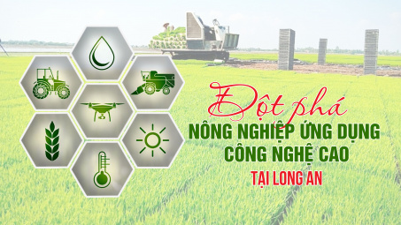 Đột phá nông nghiệp ứng dụng công nghệ cao tại Long An