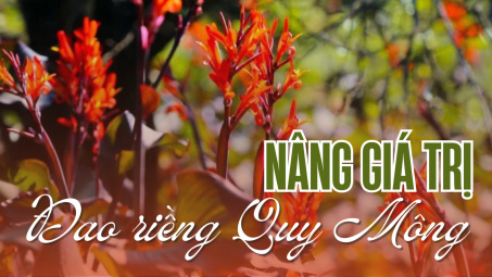 Nâng giá trị đao riềng Quy Mông