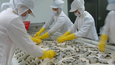 Thực phẩm Sao Ta (FMC): Doanh số tháng 9 tăng 25%, tập trung làm đơn hàng cao cấp