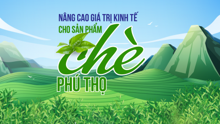 Nâng cao giá trị kinh tế cho sản phẩm chè Phú Thọ