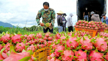 Long An: Sắp diễn ra Hội nghị Kết nối giao thương, xúc tiến xuất khẩu