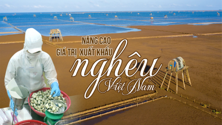 Nâng cao giá trị  xuất khẩu nghêu Việt Nam