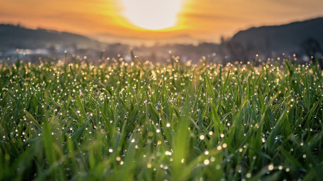 Thời tiết hôm nay ngày 25/10/2023: Hà Nội sáng sớm trời lạnh, chiều có mưa vài nơi