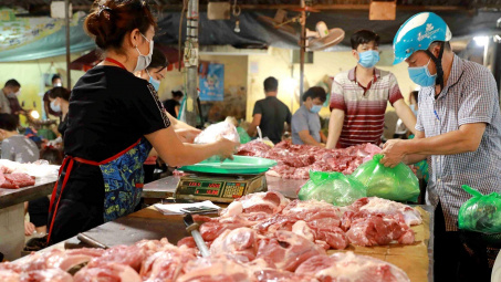 Giá heo hơi hôm nay 25/10: Tiếp tục tăng, tiêu thụ tại các chợ nhộn nhịp hơn