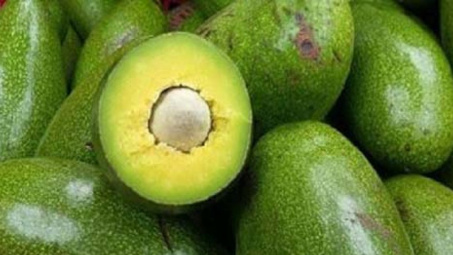 Nông dân Đắk Lắk nâng cao thu nhập từ trái bơ