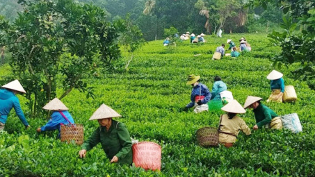 Phân bổ, điều chỉnh kế hoạch đầu tư vốn ngân sách trung ương năm 2023