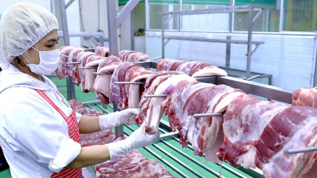 Giá heo hơi hôm nay 28/10: Giảm tại miền Bắc và miền Trung