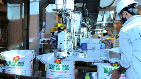 Dự báo lãi ròng quý 4/2023 của Đạm Cà Mau (DCM) sẽ bật tăng mạnh