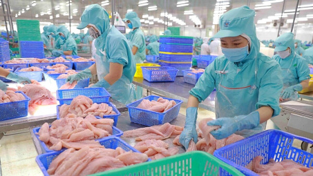 Bận tiếp phái đoàn Mỹ, Thuỷ sản Vĩnh Hoàn (VHC) xin lùi hạn nộp BCTC quý 3/2023