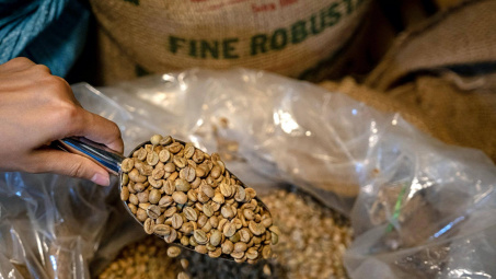 Giá cà phê hôm nay 30/10: Tồn kho cà phê Robusta thế giới lên cao nhất 2 tuần
