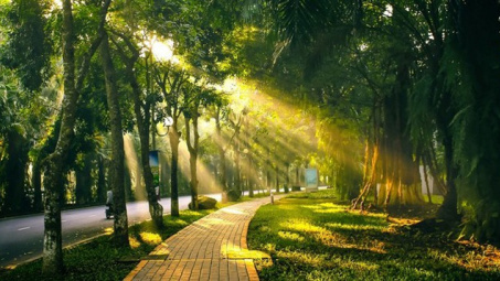 Thời tiết hôm nay ngày 31/10/2023: Hà Nội ngày nắng, Đà Nẵng tiếp tục mưa to, TP. Hồ Chí Minh vẫn mưa về chiều tối