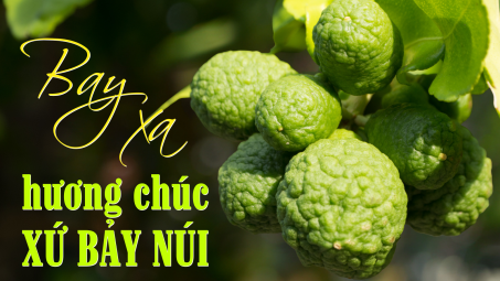 Bay xa hương chúc xứ Bảy Núi