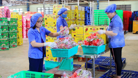 Việt Nam - Vương quốc Anh chú trọng thực thi UKVFTA