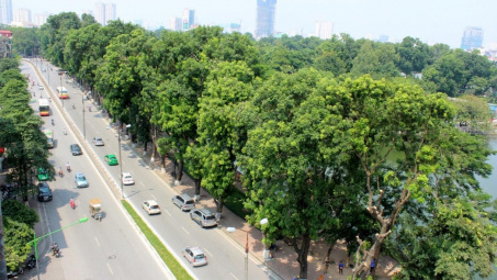 Thực trạng pháp luật Việt Nam trong việc áp dụng hàng rào phi thuế quan liên quan đến bảo vệ môi trường và sức khỏe con người trong thương mại quốc tế