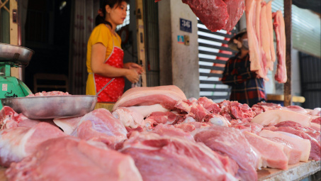 Giá heo hơi hôm nay 5/10: Đã chạm mức 50.000 đồng/kg, đà giảm chưa có dấu hiệu ngưng