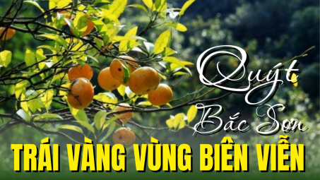 Quýt Bắc Sơn - Trái vàng vùng biên viễn
