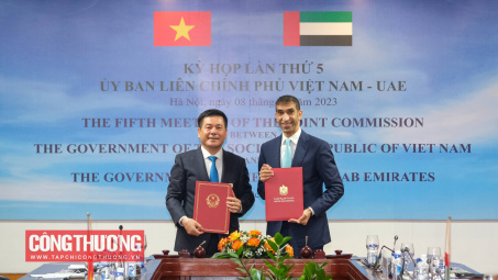 Thúc đẩy tiến trình đàm phán Hiệp định Đối tác kinh tế toàn diện Việt Nam - UAE