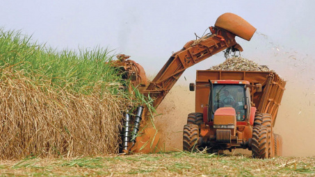 Thành Thành Công (SBT): Dự báo giá đường trong nước năm sau sẽ tiếp tục tăng nhẹ