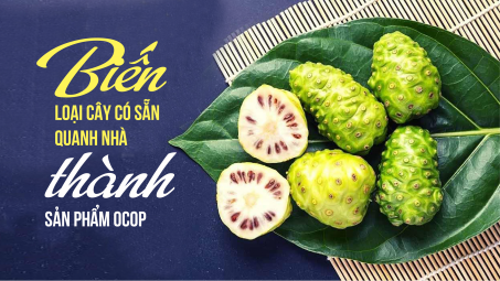 Biến loại cây có sẵn quanh nhà thành sản phẩm OCOP