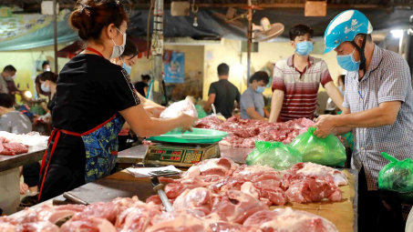 Giá heo hơi hôm nay 10/11: Giá xuống dưới 50.000 đồng/kg tại miền Bắc