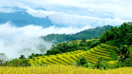 Khuổi My vào mùa lúa chín – Hoàng Su Phì thứ hai của Hà Giang