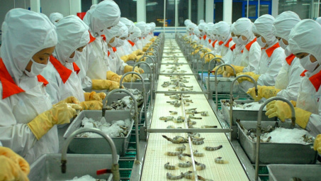 Xuất khẩu tôm suy yếu, Thủy sản Minh Phú (MPC) muốn lấn sân sang mảng bất động sản