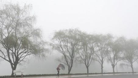 Thời tiết hôm nay ngày 12/11/2023: Hà Nội trời chuyển rét, Thành phố Hồ Chí Minh ngày nắng, Đà Nẵng mưa về đêm