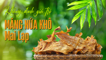 Khẳng định giá trị măng nứa khô Mai Lạp