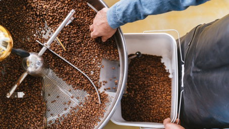 Giá cà phê hôm nay 14/11: Tồn kho giảm mạnh, giá Robusta lên cao nhất hơn 2 tuần