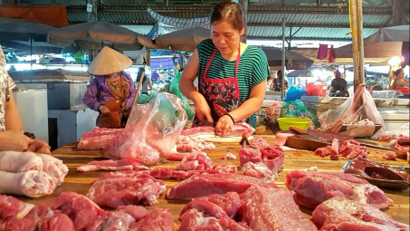 Giá heo hơi hôm nay 16/11: Miền Bắc bất ngờ đảo chiều tăng trở lại