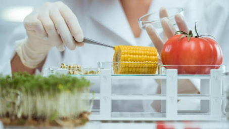 Top 10 Trường đại học đào tạo ngành Công nghệ thực phẩm tốt nhất Việt Nam